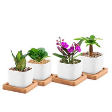 Load image into Gallery viewer, loomrack Cubic Ceramic Planter Plot in Bamboo Tray Flower Pots & Planters