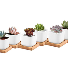 Load image into Gallery viewer, loomrack Cubic Ceramic Planter Plot in Bamboo Tray Flower Pots &amp; Planters
