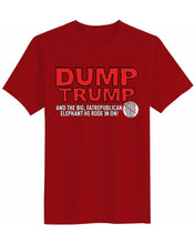 Load image into Gallery viewer, DUMP TRUMP
